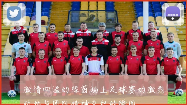 激情四溢的绿茵场上足球赛的激烈对抗与团队精神交织的瞬间