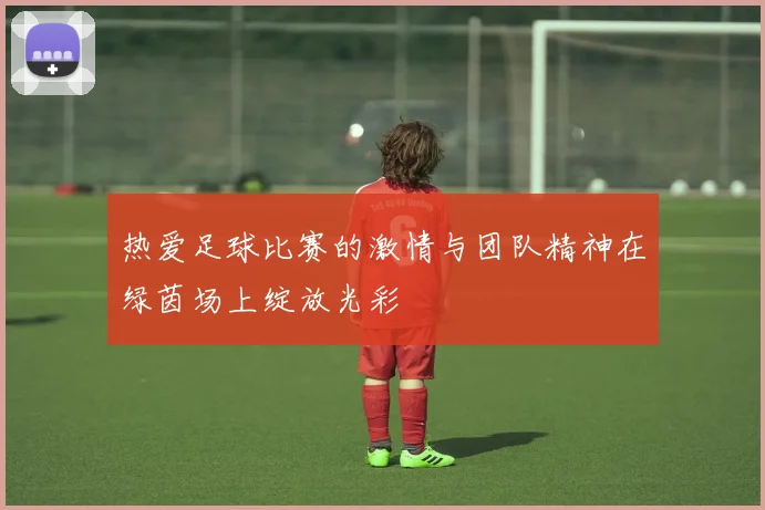 热爱足球比赛的激情与团队精神在绿茵场上绽放光彩