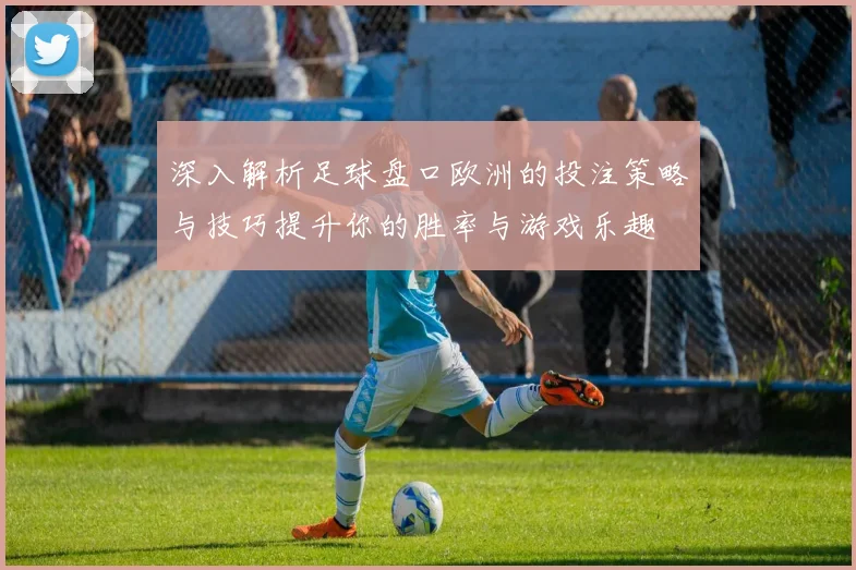 深入解析足球盘口欧洲的投注策略与技巧提升你的胜率与游戏乐趣